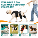 Colete Ortopédico para Cães com Suporte de Quadril e Joelho para Recuperação e Mobilidade