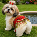 Saia Dança do Ventre Luxo para Pets com Lantejoulas e Moedas Decorativas Ajustável