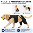 Colete Ortopédico para Cães com Suporte de Quadril e Joelho para Recuperação e Mobilidade