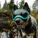 Óculos De Sol Pet com Proteção UV para Passeios e Praia