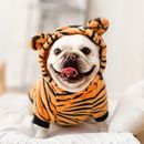 Fantasia Pet Quentinha Dinossauro Tigre Zebra