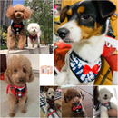 Colete Roupinha Xadrez com Gravata Botões e Guia