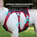 Coleira Peitoral para Cachorros Refletiva e Ajustável em 6 Pontos
