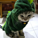 Fantasia Pet Quentinha Dinossauro Tigre Zebra