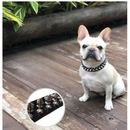 Coleira de Couro Spikes Cravejada para Cães