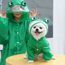 Capa de Chuva Pet Dinossauro Sapinho para Cachorro