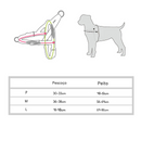 Coleira Peitoral Pidog Colorido para Cachorros
