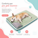Cama Ortopédica Comfort Plus para Cães Premium
