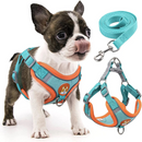 Conjunto Coleira Peitoral e Guia para Cachorros