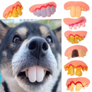 Dentadura Engraçada para Cachorros Festa Halloween