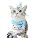 Chapéu e Babador Pet Feliz Aniversário para Cães e Gatos