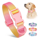 Coleira Colar Nylon Colorida para Cachorros