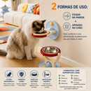 Comedouro Elevado 2 em 1 para Gatos e Cães Pequenos | Tigela Ergonômica de Parede ou de Mesa com Pote em Aço Inoxidável