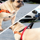 Coleira Peitoral Confort para Cachorros com 2 Argolas para Guia