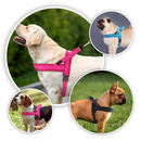 Coleira Peitoral Confort para Cachorros com 2 Argolas para Guia