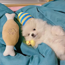 Mini Pelúcia Pet Brinquedo de Apego para Cães e Gatos