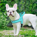 Coleira Peitoral Confort para Cachorros com 2 Argolas para Guia
