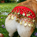 Saia Dança do Ventre Luxo para Pets com Lantejoulas e Moedas Decorativas Ajustável