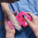 Bandagem Auto Adesiva Atadura para Cachorros e Gatos
