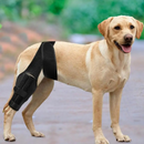 Joelheira Suporte Ortopédico para Cachorros com Lesões Dificuldade de Andar