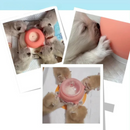 Mamadeira Tigela Alimentador com Bicos para Filhotes Gatos Cachorros