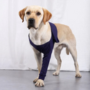 Cinta Suporte Ortopédico Patas Dianteiras para Recuperação de Cachorros