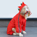 Capa de Chuva Pet Dinossauro Sapinho para Cachorro