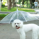 Coleira Guia Guarda Chuva Pet Invertido Transparente
