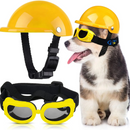 Capacete e Óculos Pet Motociclista Acessório de Segurança para Cachorros em Motos