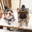 Gorro Chapéu Agasalho de Inverno Pet Capuz para Cachorros