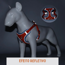 Coleira Peitoral Colorido + Guia de Brinde para Cães de Pequeno Porte