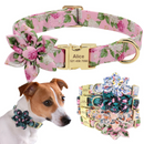 Coleira Colar de Identificação Personalizável com Laço Flor