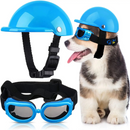 Capacete e Óculos Pet Motociclista Acessório de Segurança para Cachorros em Motos