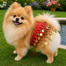 Saia Dança do Ventre Luxo para Pets com Lantejoulas e Moedas Decorativas Ajustável