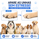 Arranhador de Madeira para Cães com Caixa de Petiscos Integrada, Almofada para Aparar Unhas, Design Retrátil e Superfície de Lixa Brinquedo para Arranhar