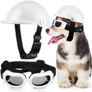 Capacete e Óculos Pet Motociclista Acessório de Segurança para Cachorros em Motos