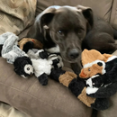Brinquedo Pelúcia Pet Animais Super Macio sem Enchimento