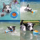 Brinquedo Mordedor Resistente Interativo para Cachorros