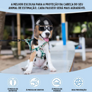Capacete e Óculos Pet Motociclista Acessório de Segurança para Cachorros em Motos