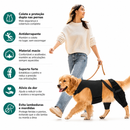 Colete Ortopédico para Cães com Suporte de Quadril e Joelho para Recuperação e Mobilidade
