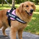 Peitoral Para Cachorros Ajustável com Nome Personalizável