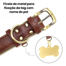Coleira Colar de Identificação Personalizado com Nome Pet