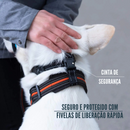 Coleira Anti Latido Focinheira para Treinamento Adestramento de Cachorros