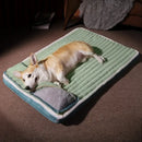 Cama Ortopédica Comfort Plus para Cães Premium