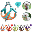 Coleira Peitoral Colorido + Guia de Brinde para Cães de Pequeno Porte