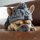 Gorro Chapéu Agasalho de Inverno Pet Capuz para Cachorros