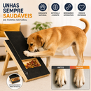 Arranhador de Madeira para Cães com Caixa de Petiscos Integrada, Almofada para Aparar Unhas, Design Retrátil e Superfície de Lixa Brinquedo para Arranhar