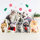 Almofada 3D Personalizada Amo Meu Pet