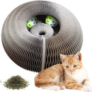 Arranhador Mágico Brinquedo Interativo para Gatos