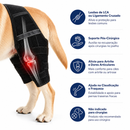 Colete Ortopédico para Cães com Suporte de Quadril e Joelho para Recuperação e Mobilidade